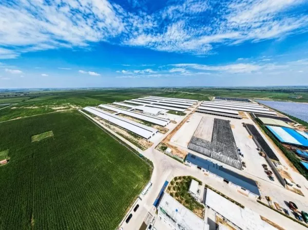 Steel Structure Food Processing Plant